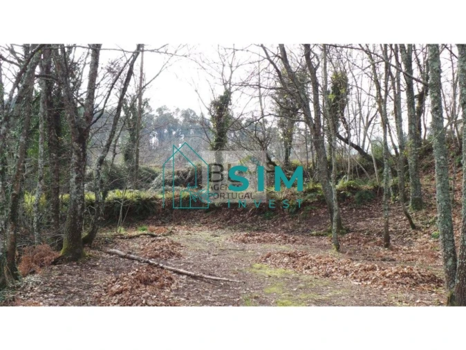 Terreno para Venda em Lomba Foto 12