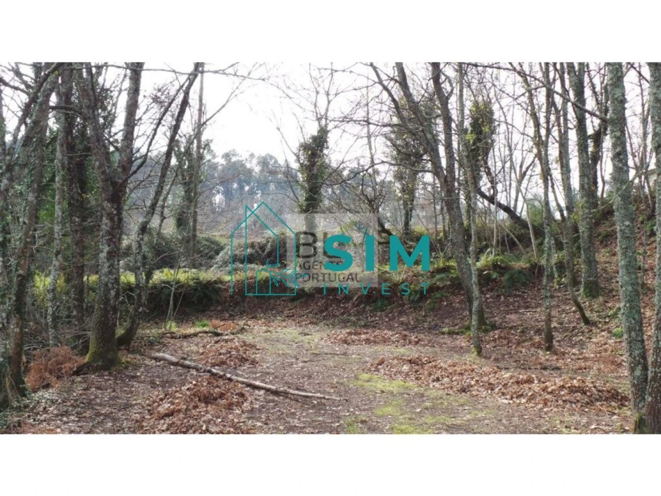 Terreno para Venda em Lomba Foto 12