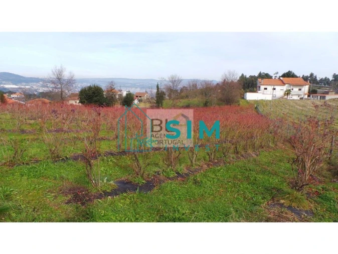 Terreno para Venda em Lomba Foto 9