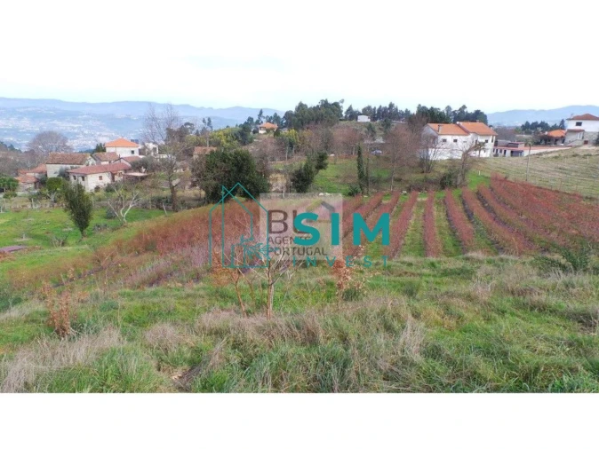 Terreno para Venda em Lomba Foto 2