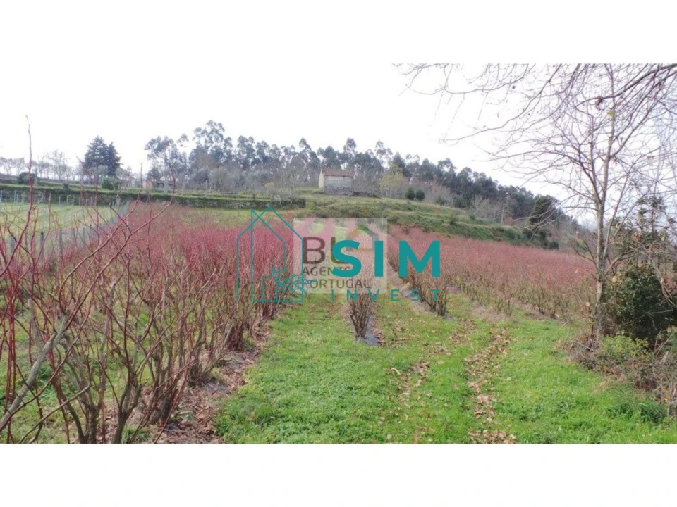 Terreno para Venda em Lomba Foto 11