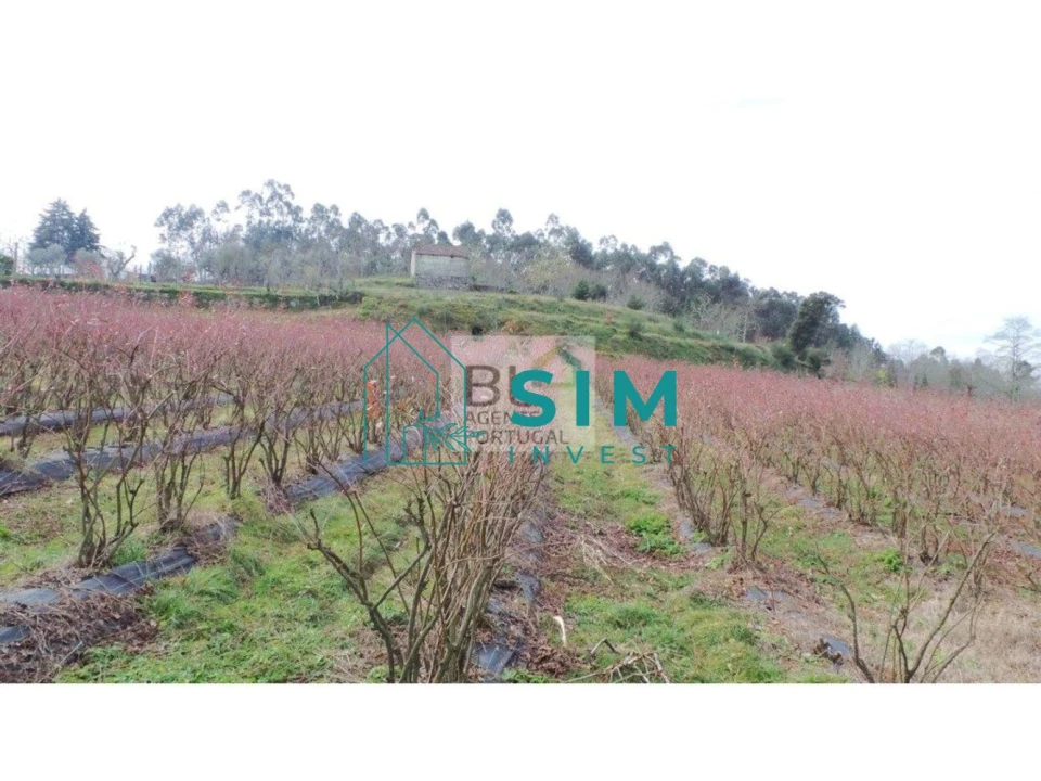 Terreno para Venda em Lomba Foto 10