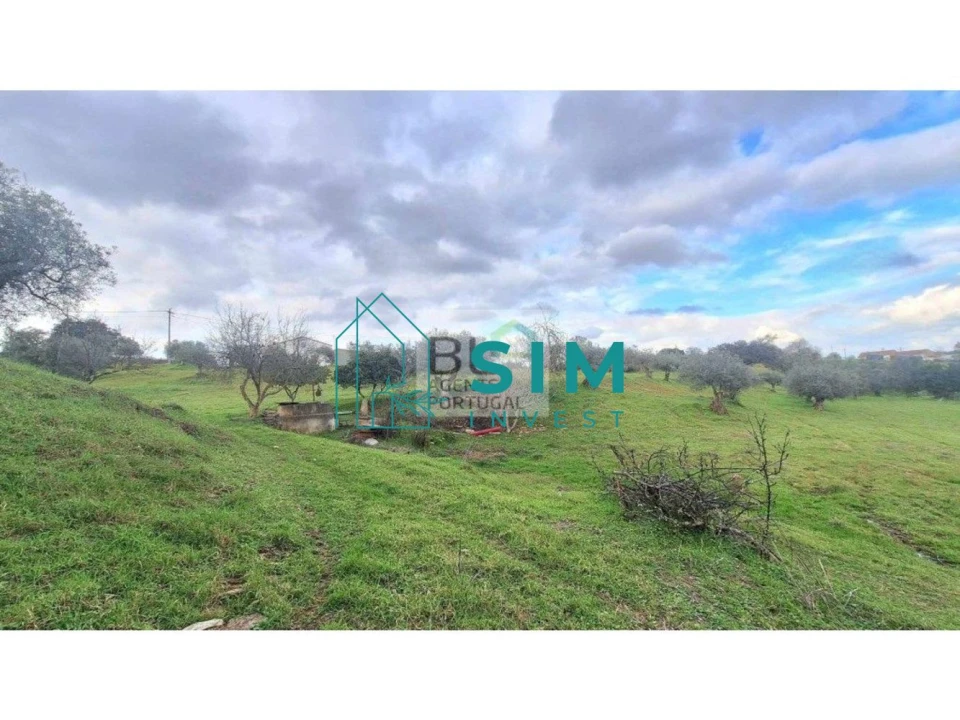 Quinta T5 para Venda em Santiago Maior Foto 30