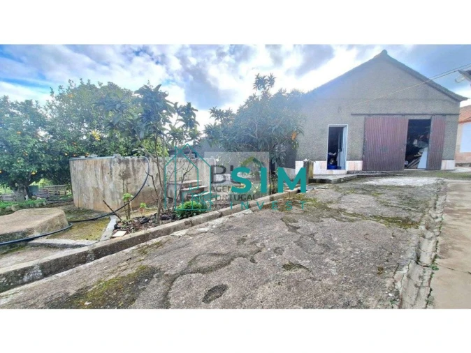 Quinta T5 para Venda em Santiago Maior Foto 15