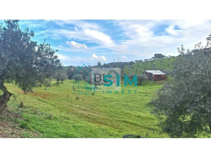 Quinta T5 para Venda em Santiago Maior Foto 36