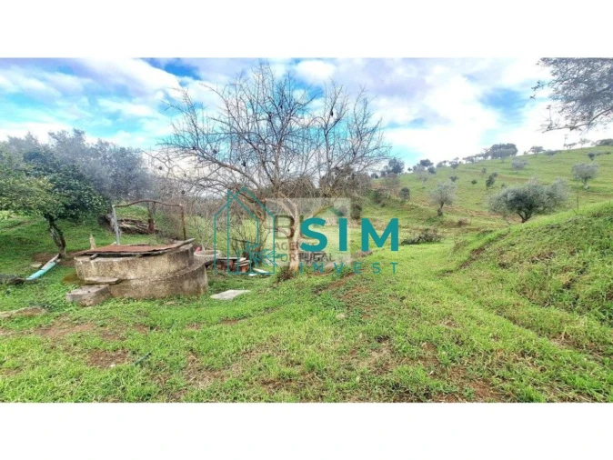 Quinta T5 para Venda em Santiago Maior Foto 28