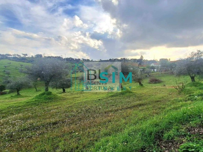 Quinta T5 para Venda em Santiago Maior Foto 34