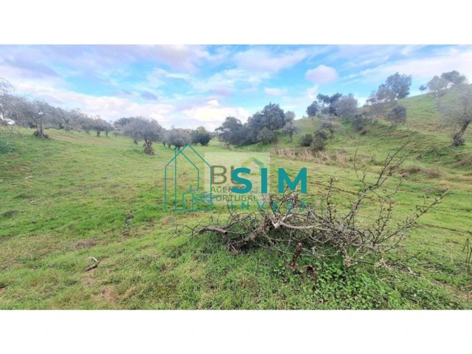 Quinta T5 para Venda em Santiago Maior Foto 29