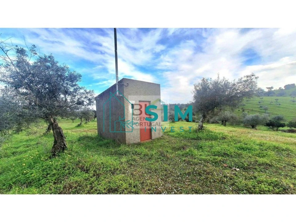 Quinta T5 para Venda em Santiago Maior Foto 33