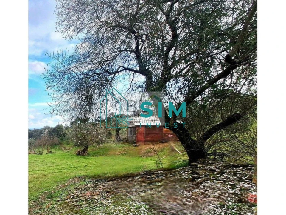 Quinta T5 para Venda em Santiago Maior Foto 25