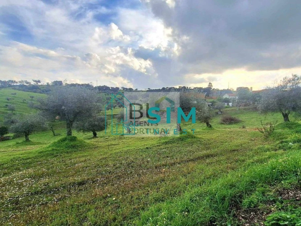 Quinta T5 para Venda em Santiago Maior Foto 34