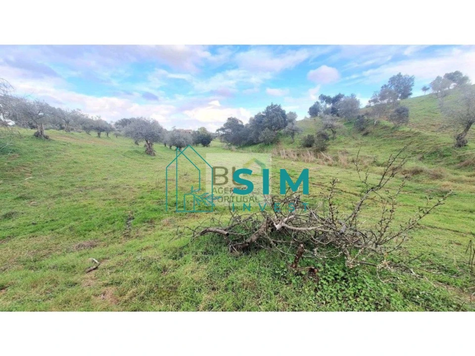 Quinta T5 para Venda em Santiago Maior Foto 29