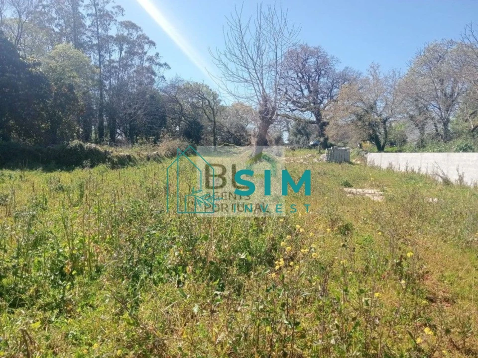 Moradia T3 para Venda em Vila Cã Foto 2