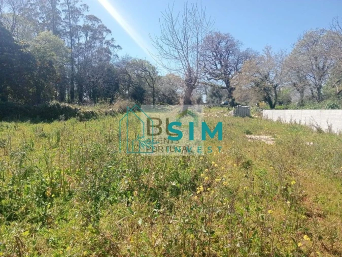 Moradia T3 para Venda em Vila Cã Foto 4