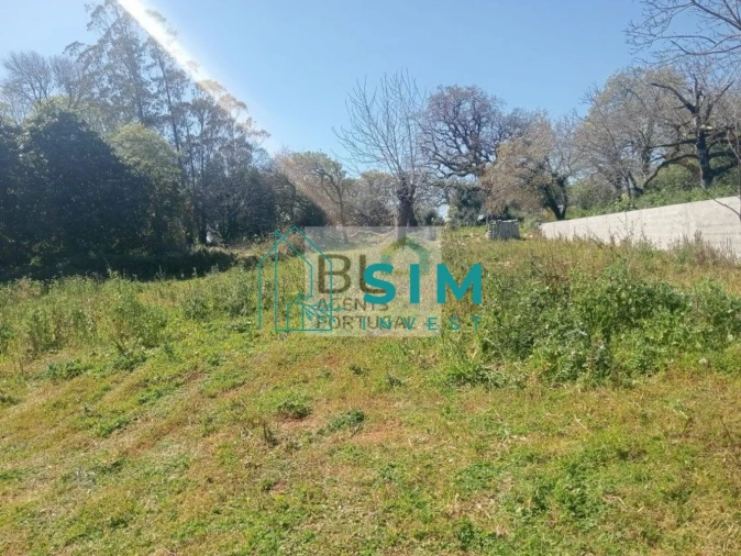 Moradia T3 para Venda em Vila Cã Foto 3