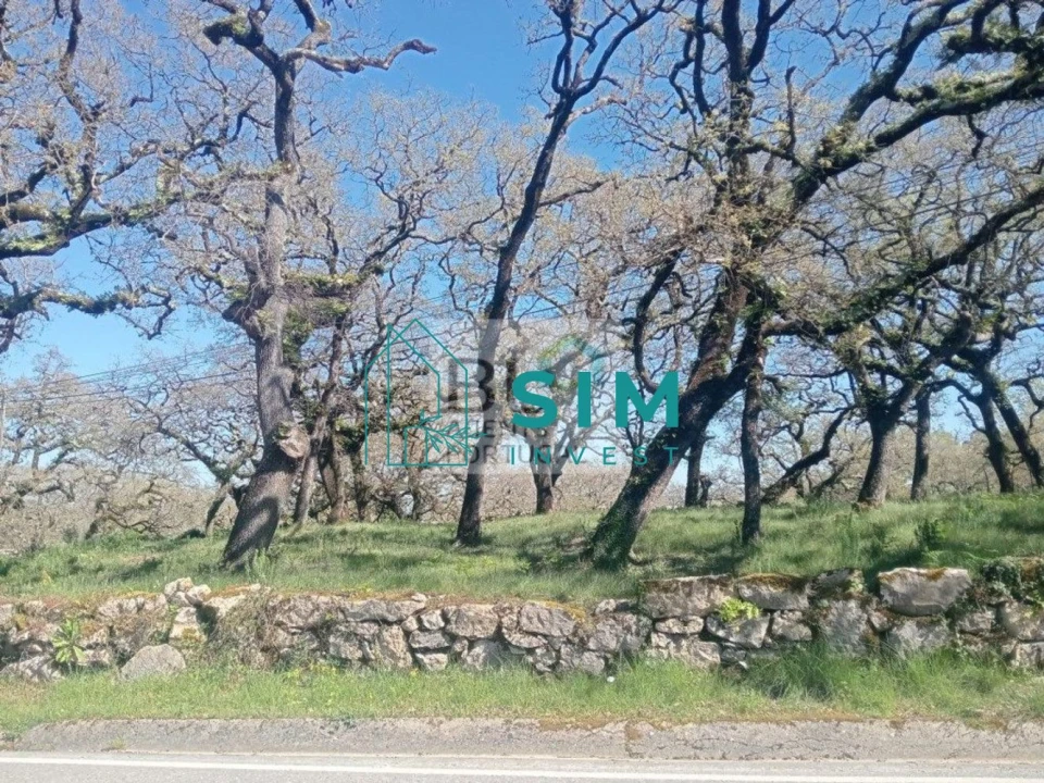 Terreno para Venda em Abiul Foto 4