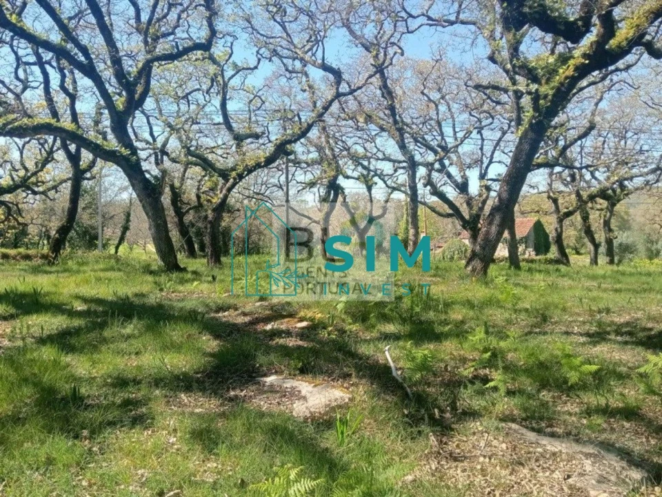 Terreno para Venda em Abiul Foto 11