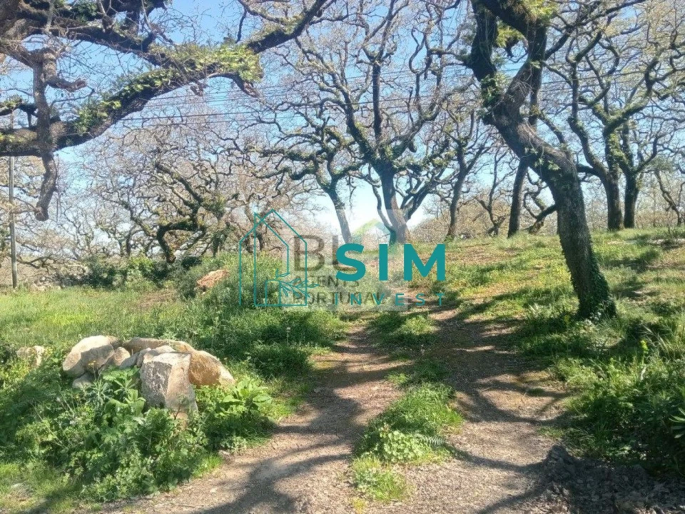 Terreno para Venda em Abiul Foto 2