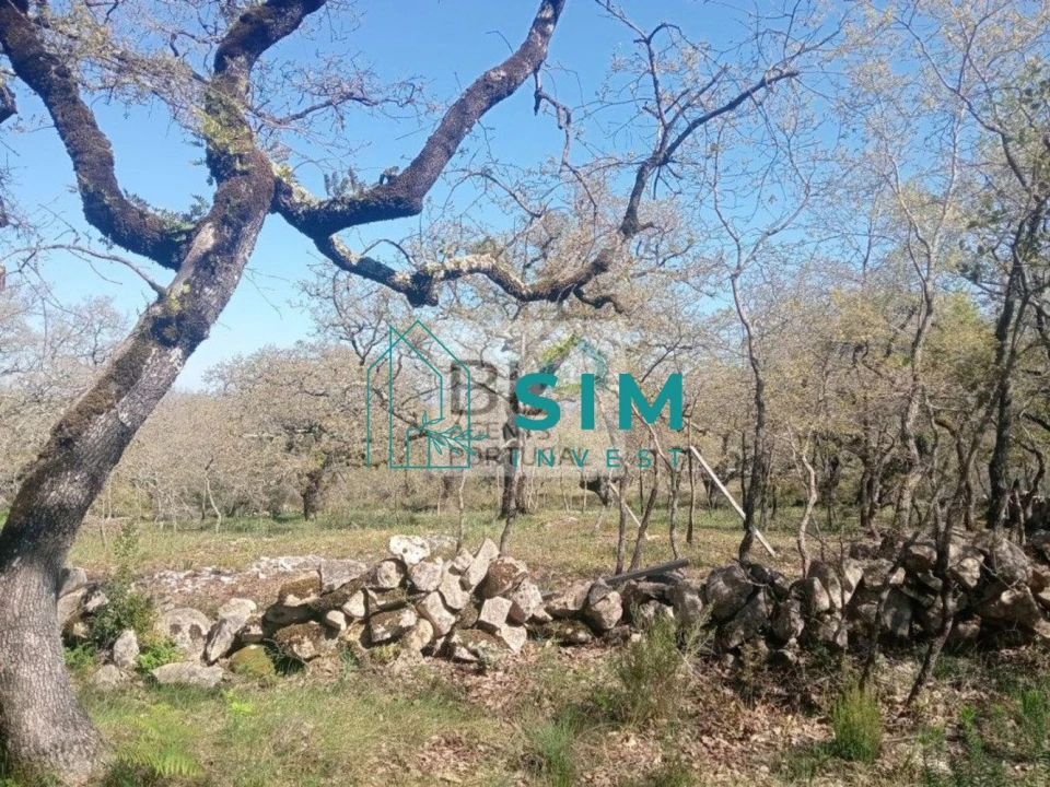 Terreno para Venda em Abiul Foto 13