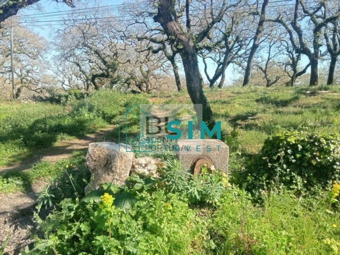 Terreno para Venda em Abiul Foto 8