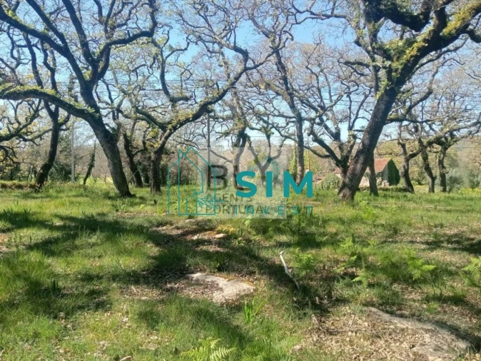 Terreno para Venda em Abiul Foto 11