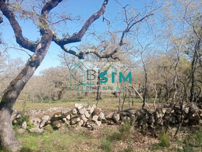 Terreno para Venda em Abiul Foto 13