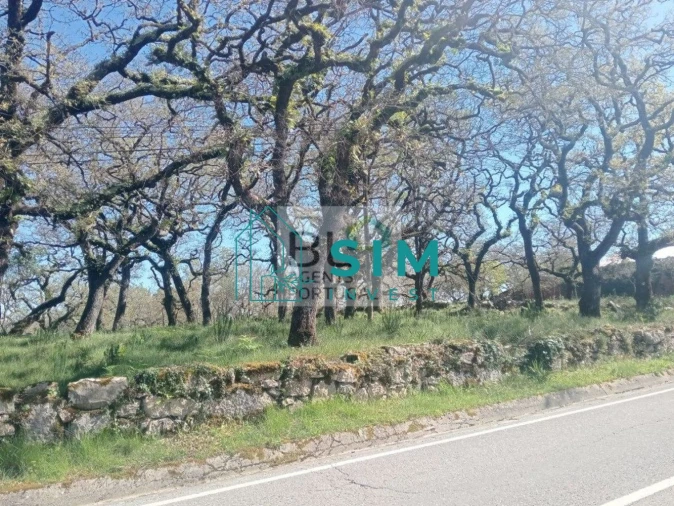 Terreno para Venda em Abiul Foto 5