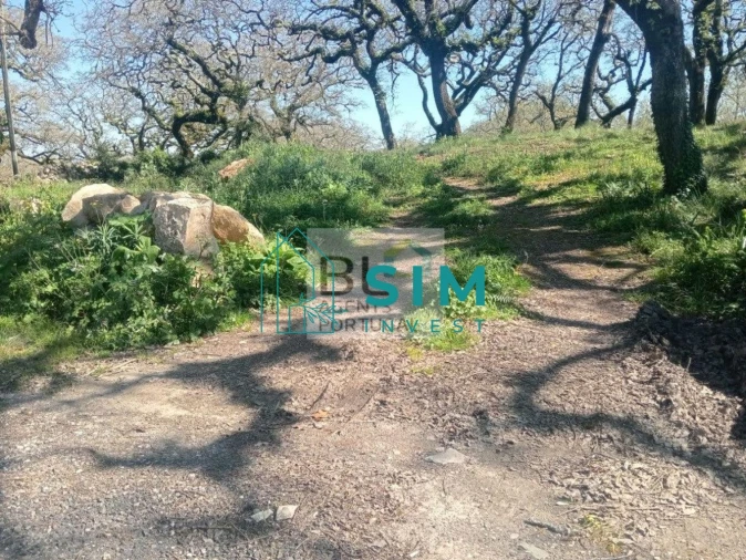 Terreno para Venda em Abiul