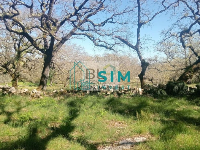 Terreno para Venda em Abiul Foto 18