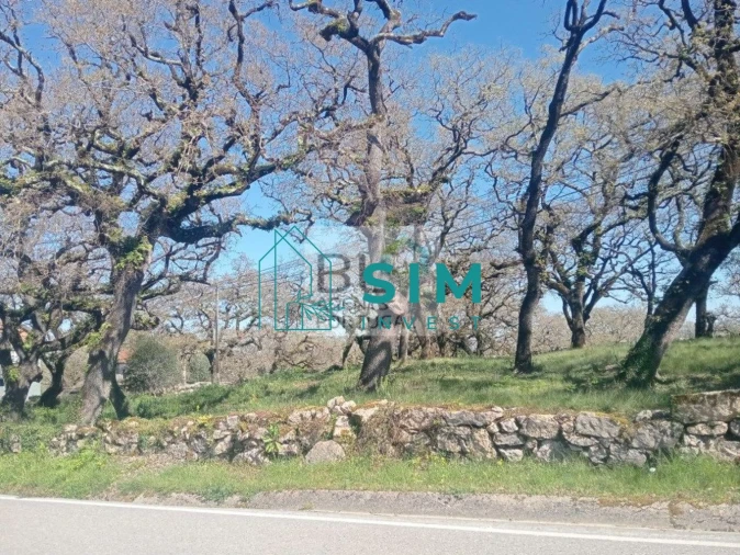 Terreno para Venda em Abiul Foto 3