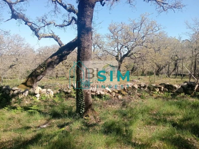 Terreno para Venda em Abiul Foto 7