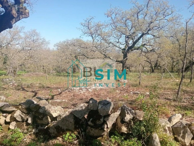 Terreno para Venda em Abiul Foto 16