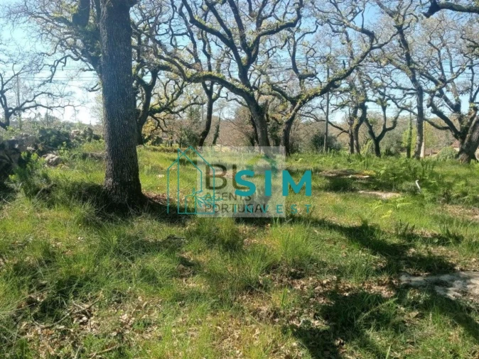 Terreno para Venda em Abiul Foto 15