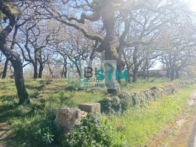 Terreno para Venda em Abiul Foto 6