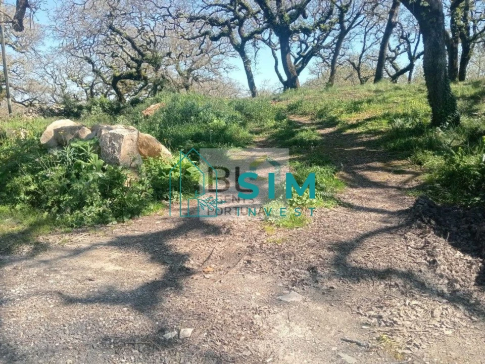 Terreno para Venda em Abiul Foto 1