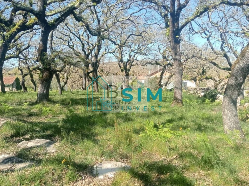 Terreno para Venda em Abiul Foto 12