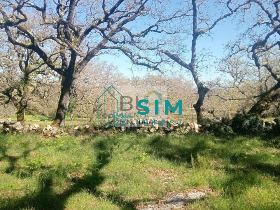 Terreno para Venda em Abiul Foto 18