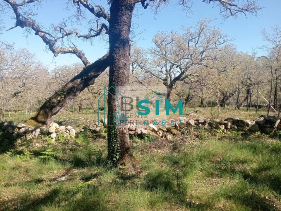 Terreno para Venda em Abiul Foto 7