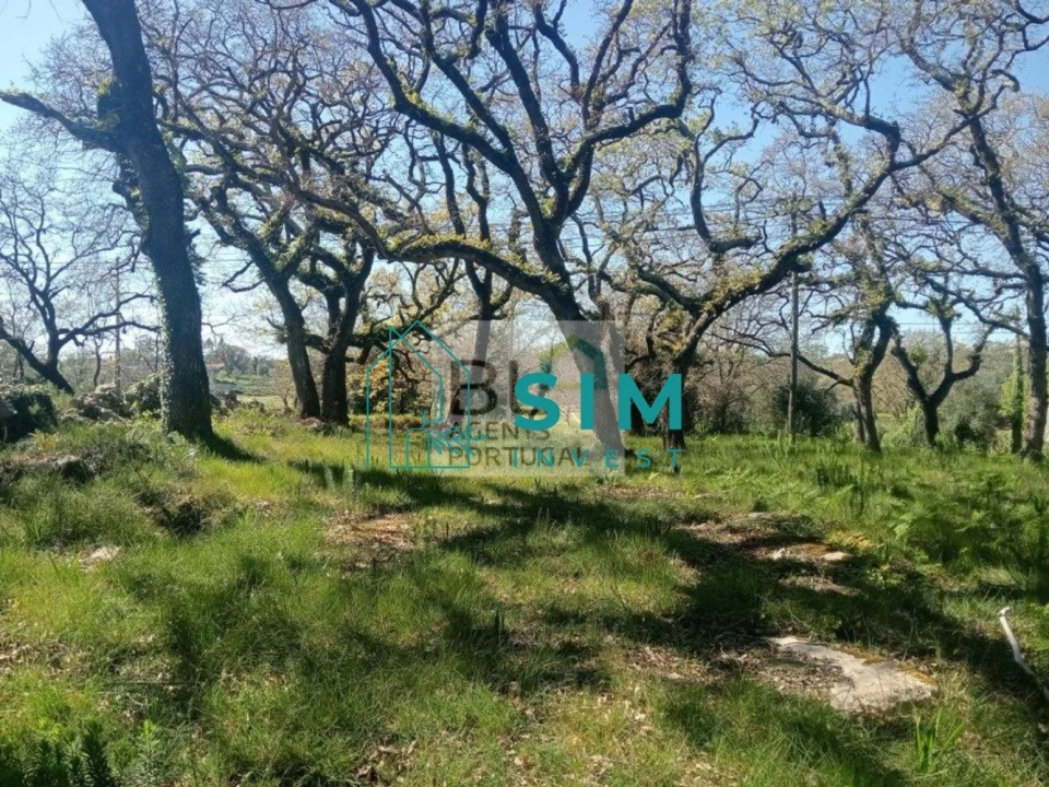 Terreno para Venda em Abiul Foto 10