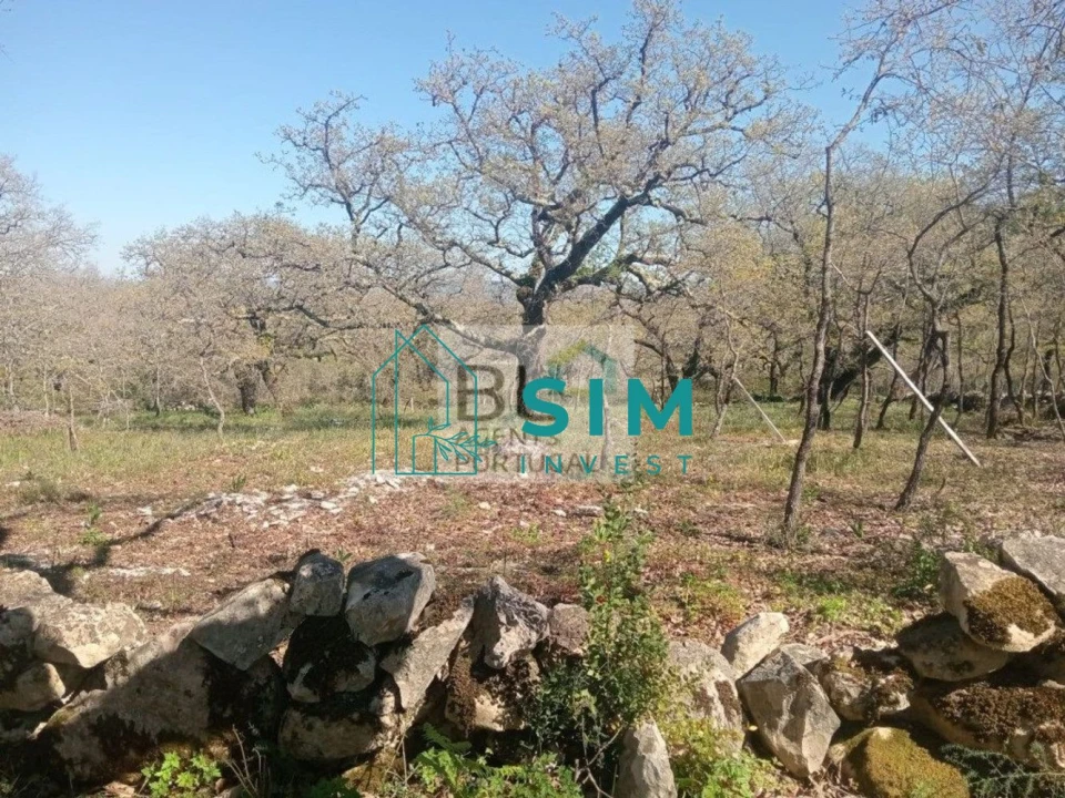 Terreno para Venda em Abiul Foto 17