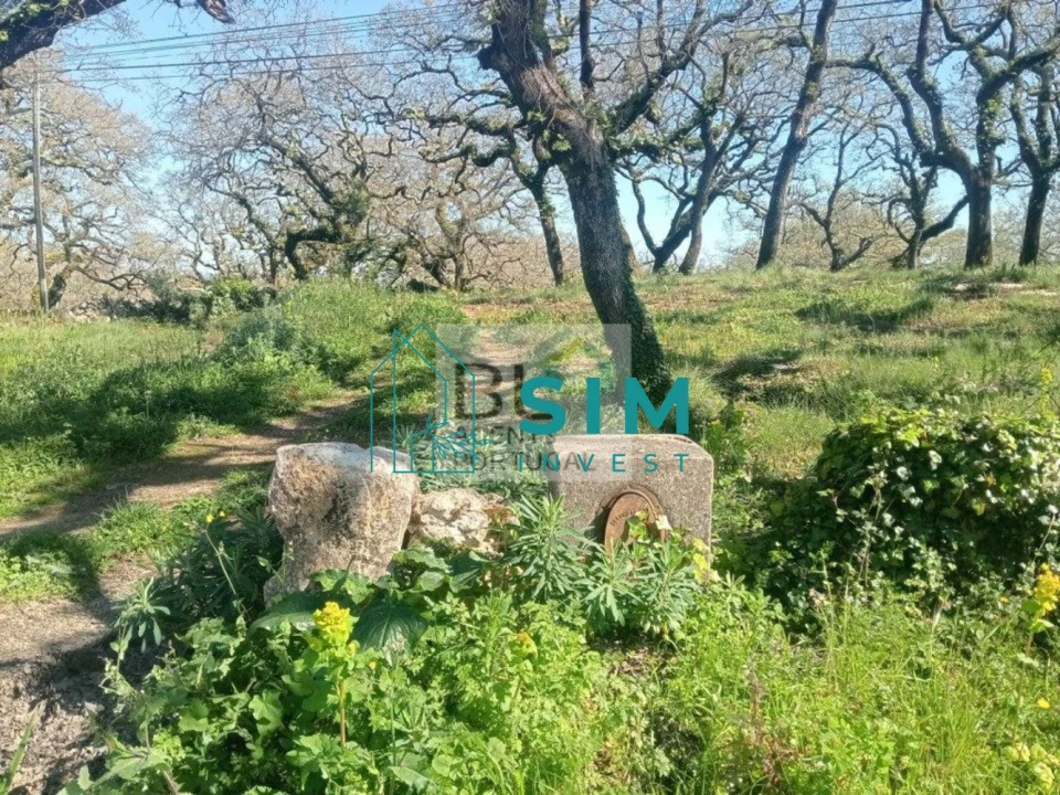 Terreno para Venda em Abiul Foto 9