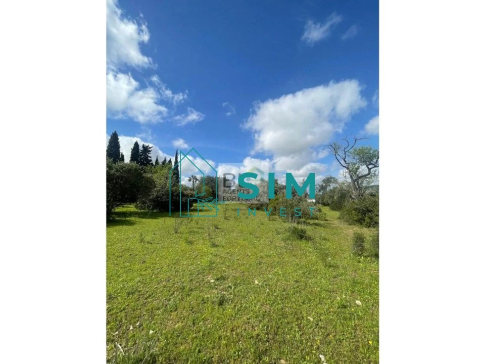 Terreno para Venda em Loule (São Clemente) Foto 8