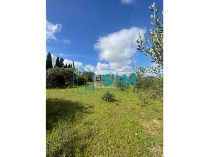 Terreno para Venda em Loule (São Clemente) Foto 7