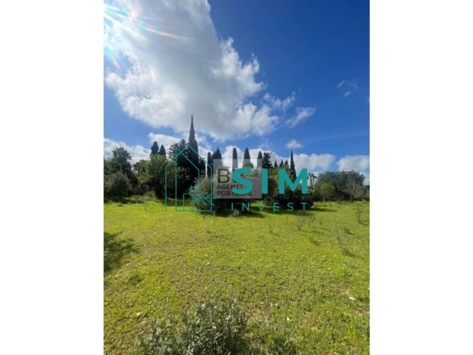 Terreno para Venda em Loule (São Clemente) Foto 6