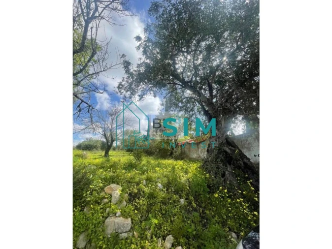 Terreno para Venda em Loule (São Clemente) Foto 9