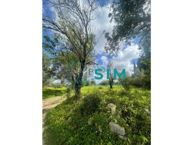 Terreno para Venda em Loule (São Clemente) Foto 2