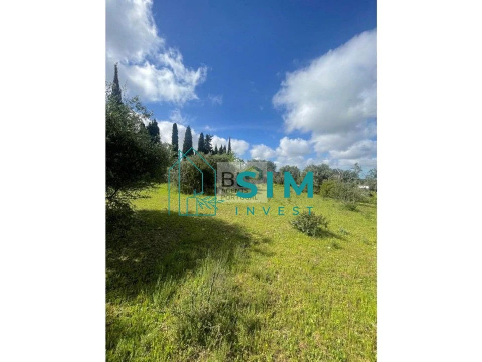 Terreno para Venda em Loule (São Clemente) Foto 5