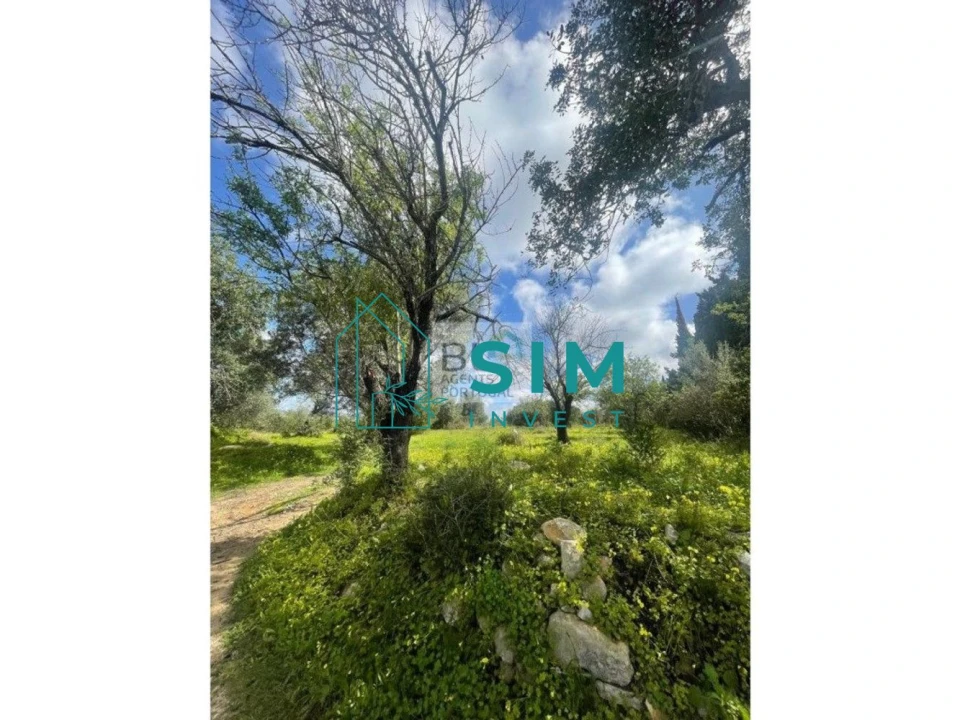 Terreno para Venda em Loule (São Clemente) Foto 10