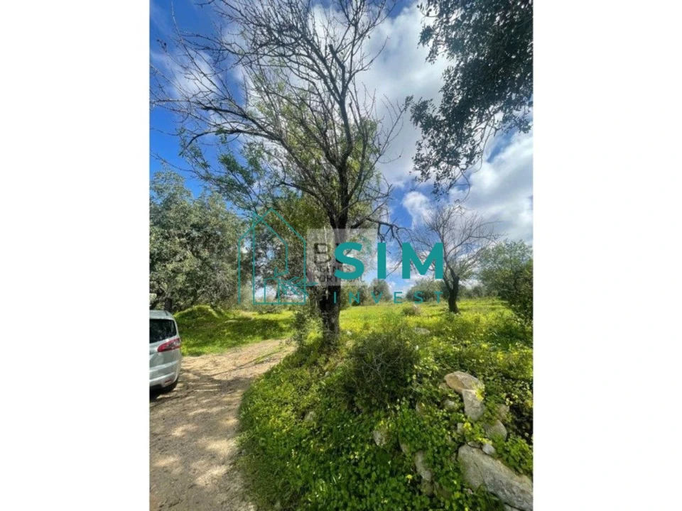 Terreno para Venda em Loule (São Clemente) Foto 3