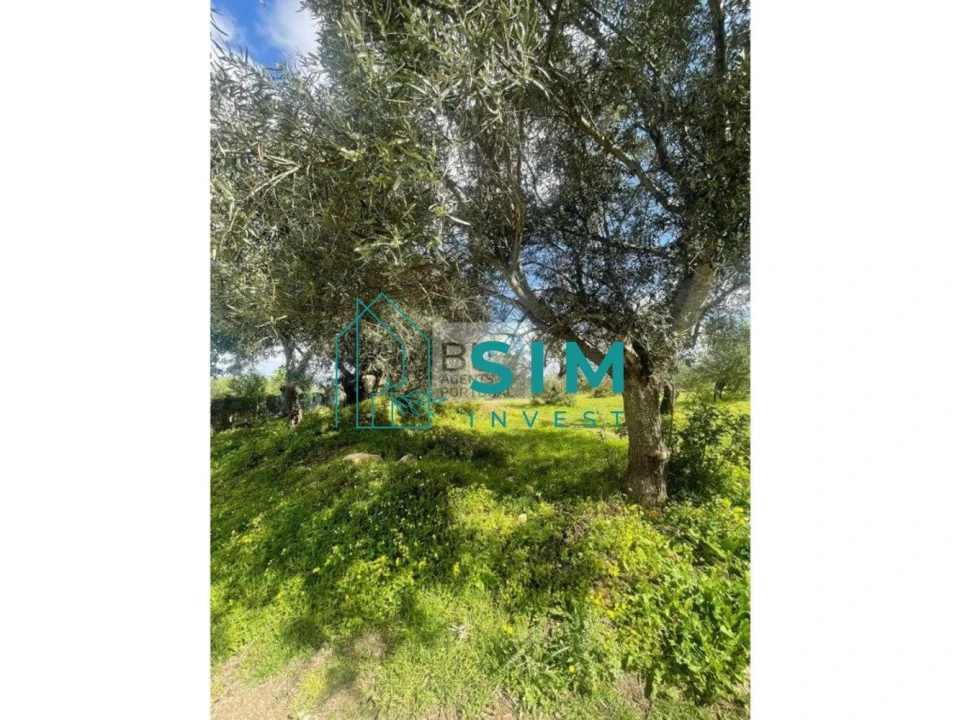 Terreno para Venda em Loule (São Clemente) Foto 4